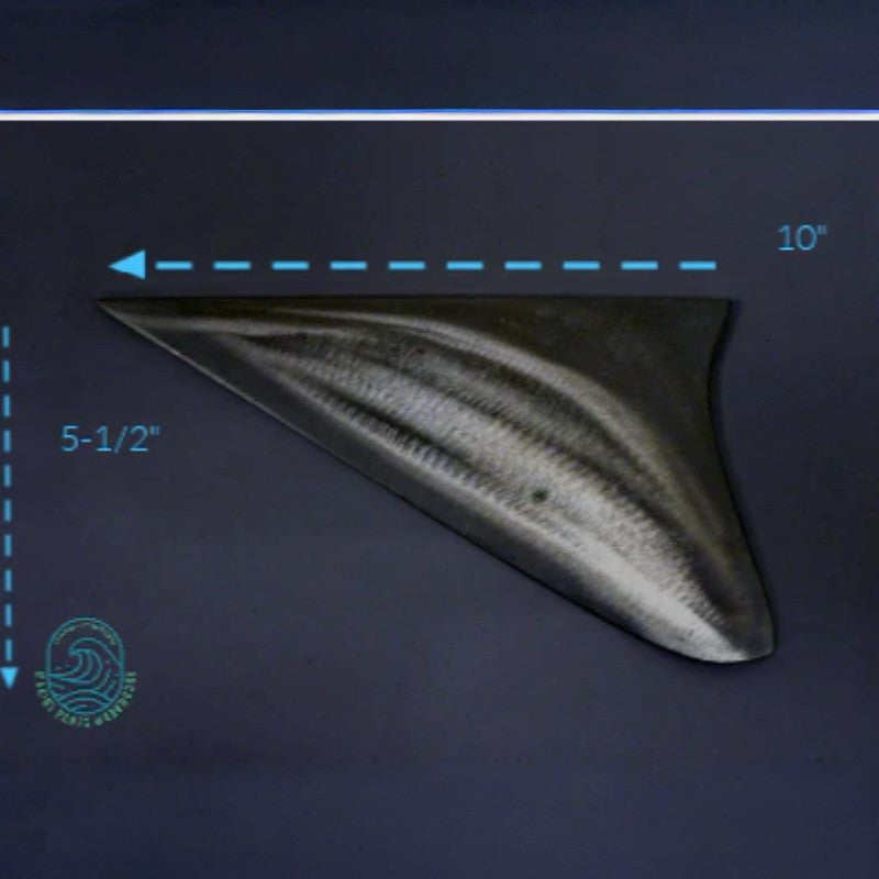 New WSM _ Johnson & Evinrude 75 - 115 HP E-TEC V4 & V6 60 Degree 2-Stroke Replacement Outboard Skeg